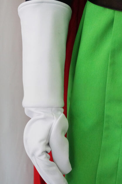 Great Saiyaman Cosplay Costume